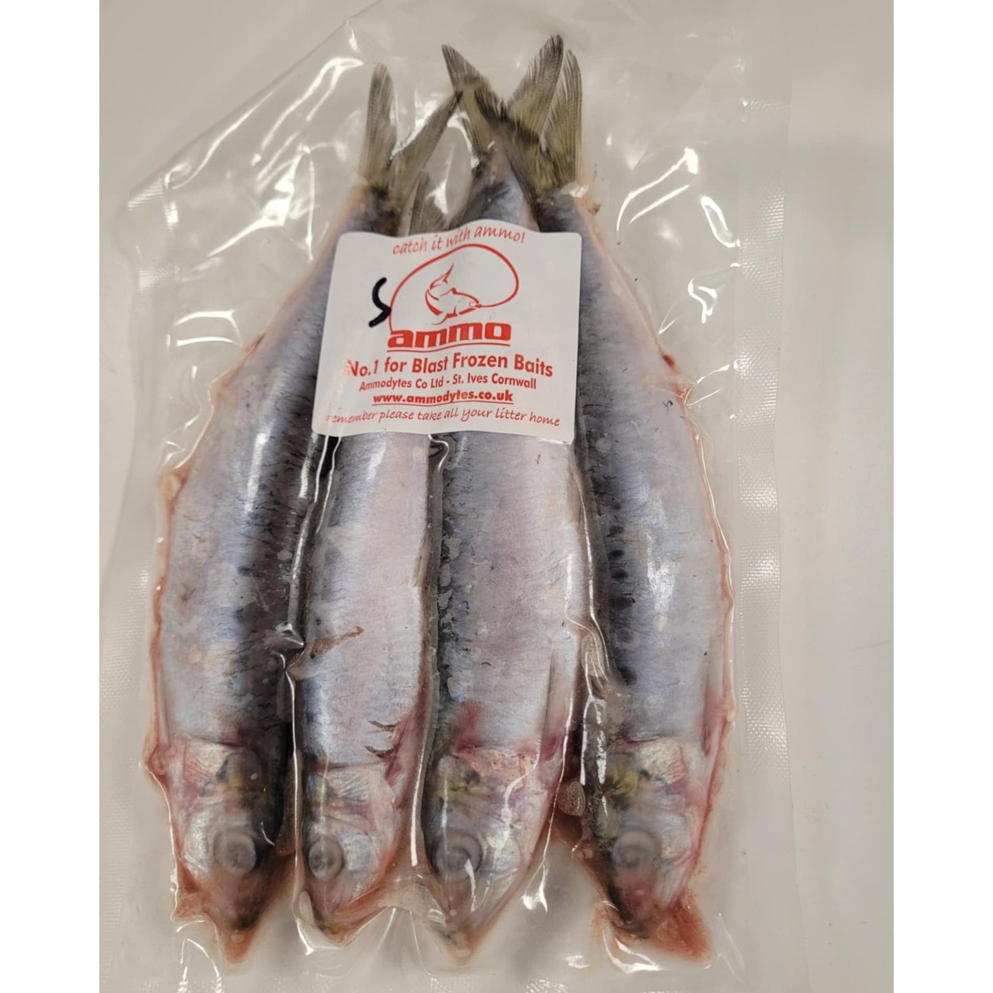 Ammo Sardines 3-4 per pack - Available in store only