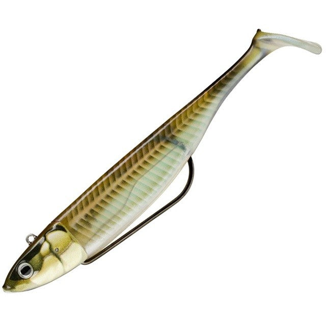 Storm 360GT Coastal Biscay Shad