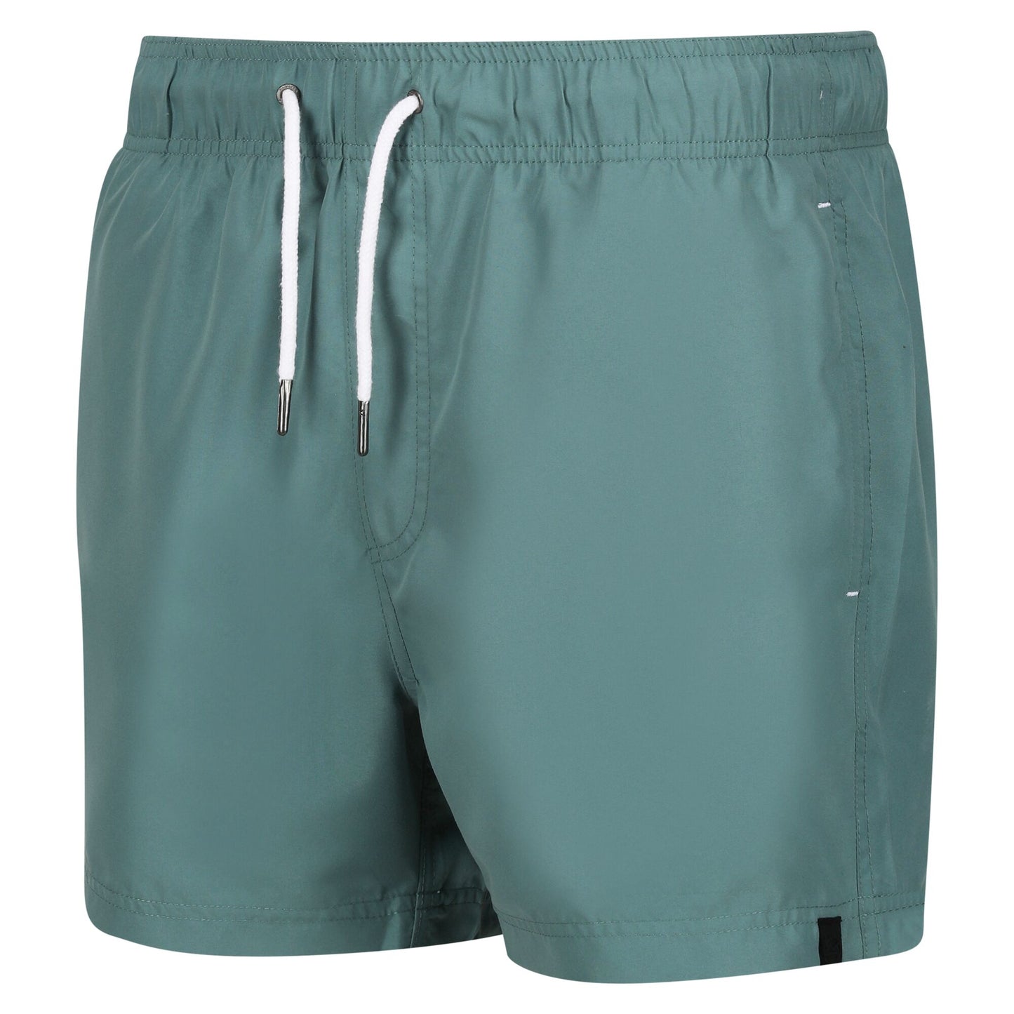 Regatta Men's Mawson III Swim Shorts - Sea Pine