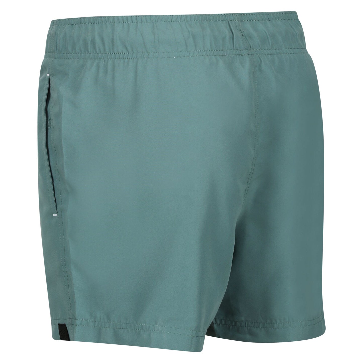 Regatta Men's Mawson III Swim Shorts - Sea Pine