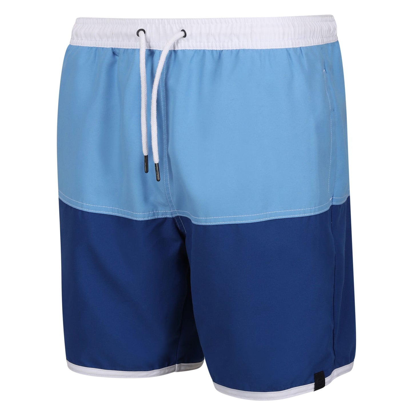 Regatta Men's Benicio Swim Shorts - Lake Blue/Royal Blue