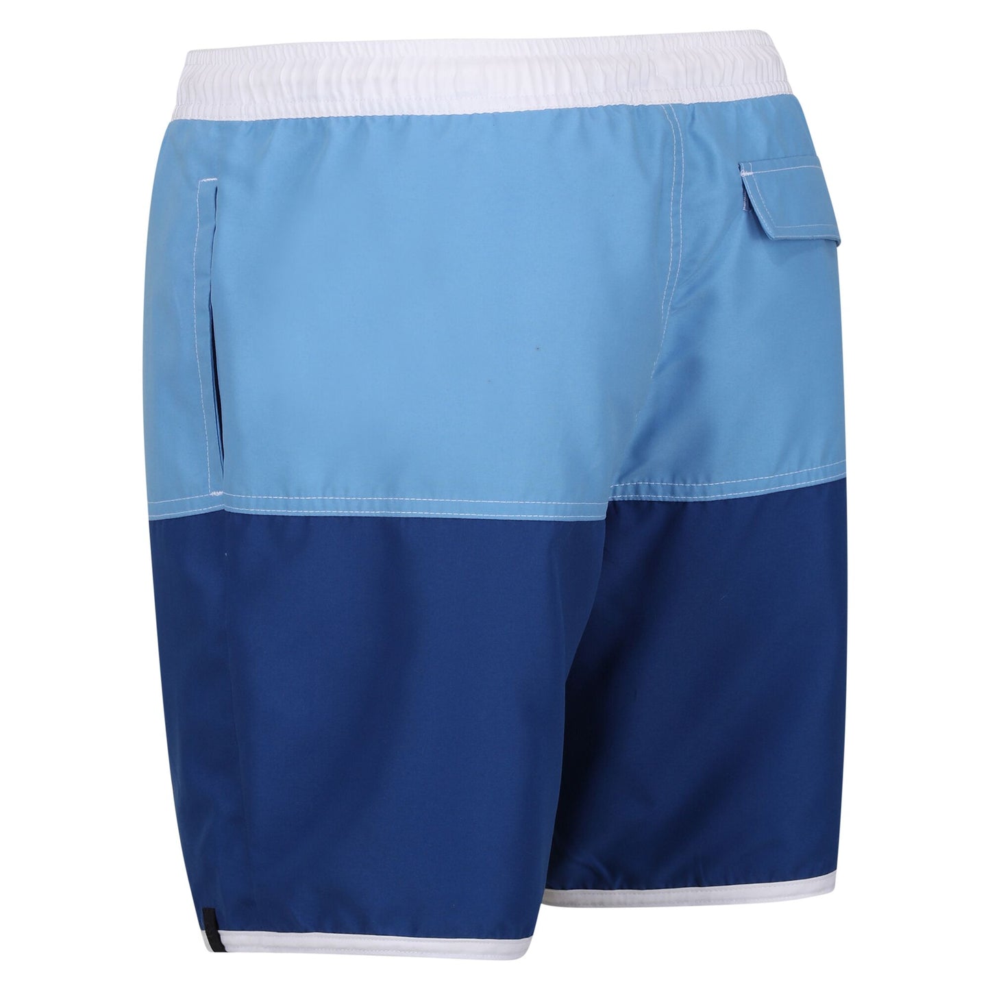 Regatta Men's Benicio Swim Shorts - Lake Blue/Royal Blue