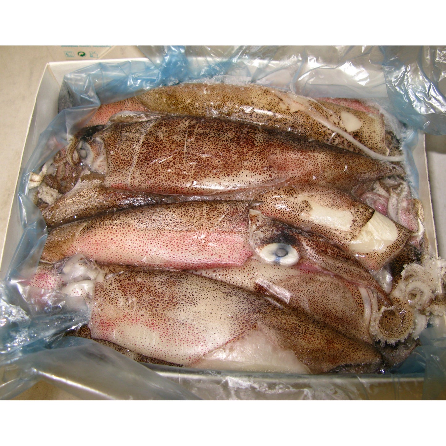 Squid - 1kg box - Available in store only