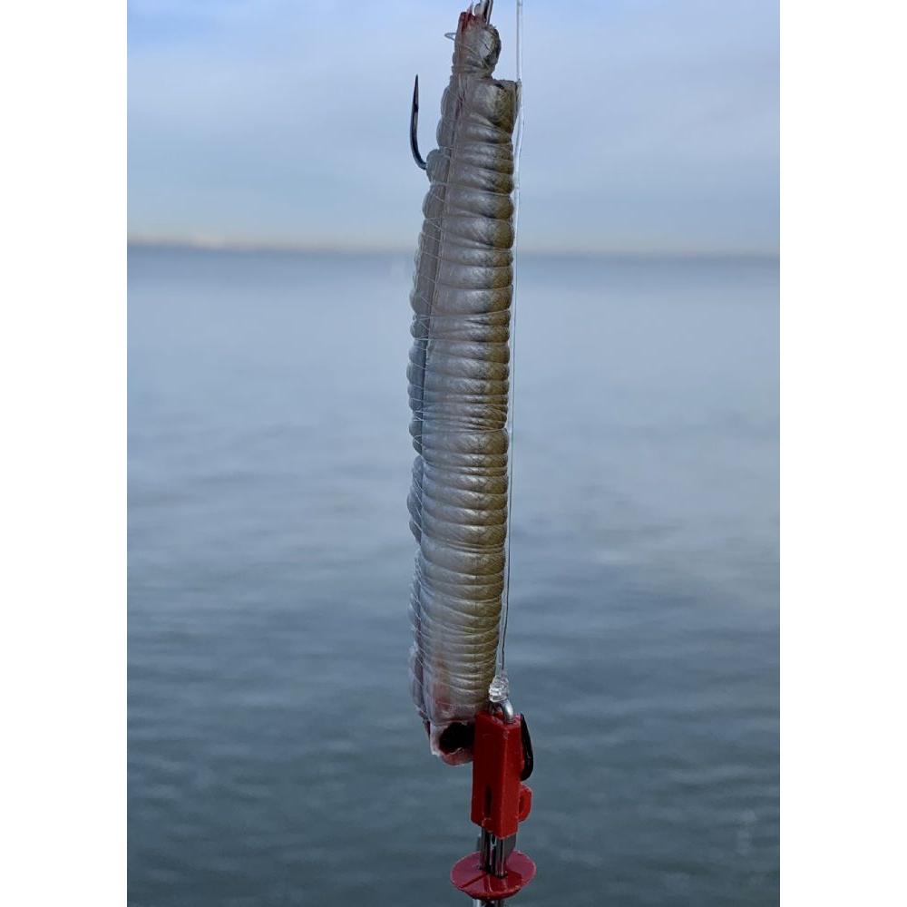 Gemini Spring Loader