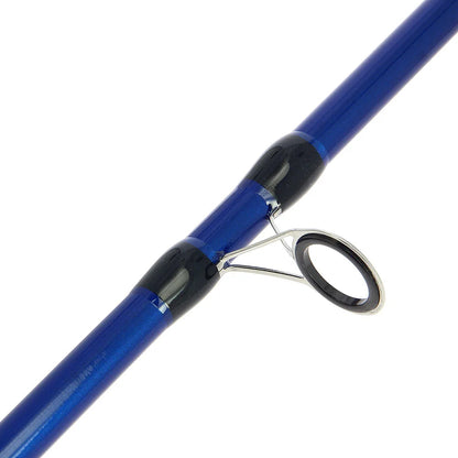Bass/Mackerel Combo: AP Bass Rod/Coast 60 Reel - Available in store only