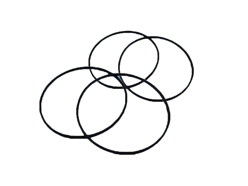 PLS Pistol Grip Water Pump 'O' Rings