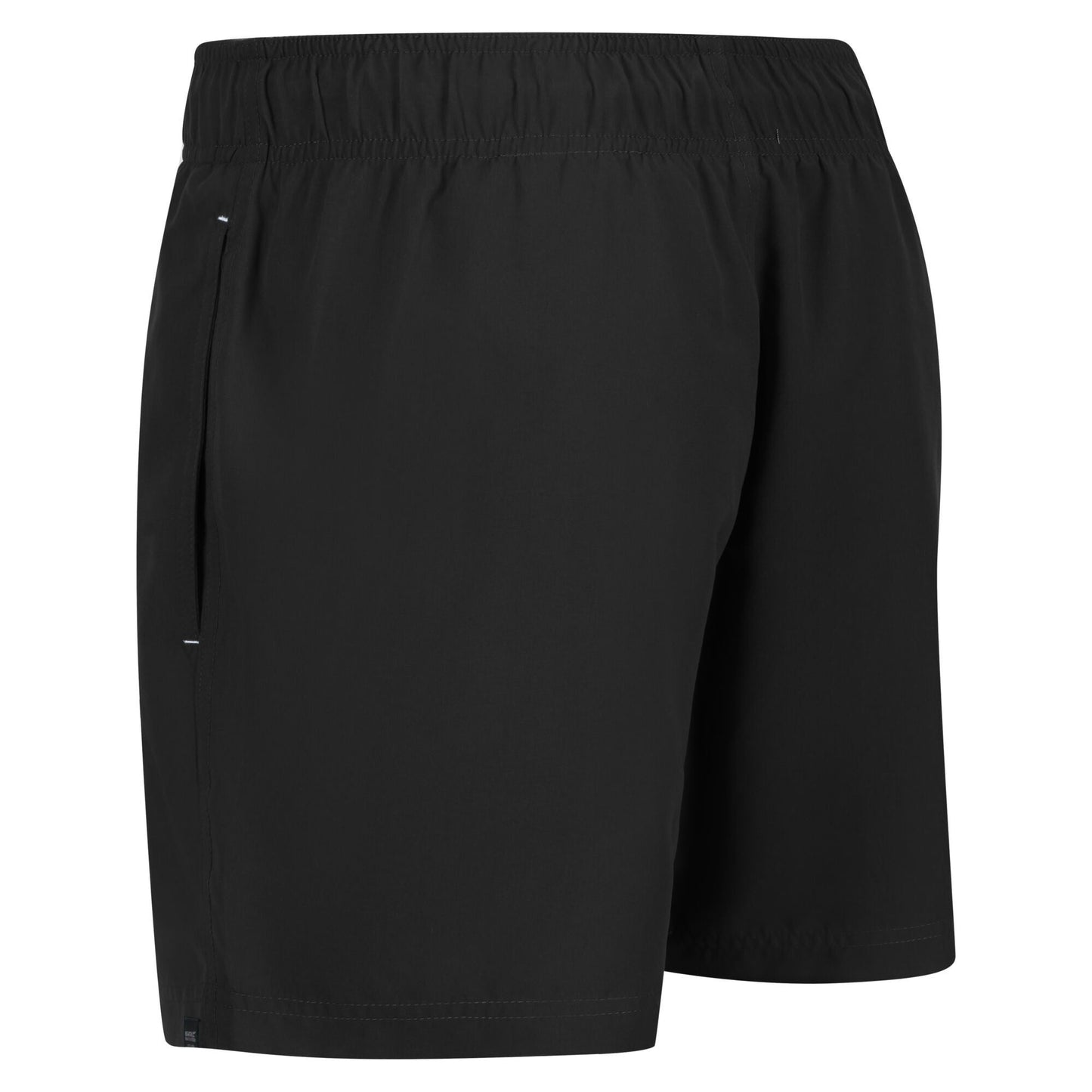 Regatta Men's Mawson III Swim Shorts